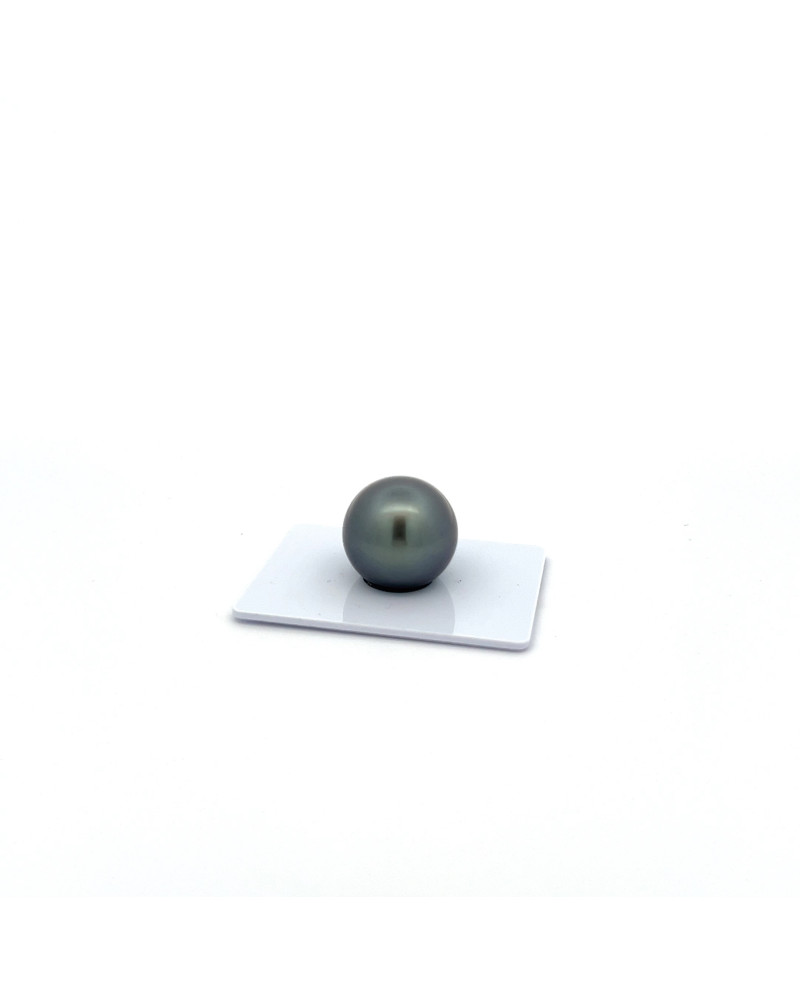 15mm+ gem  grade Tahitian Black pearl, French Polynesia  