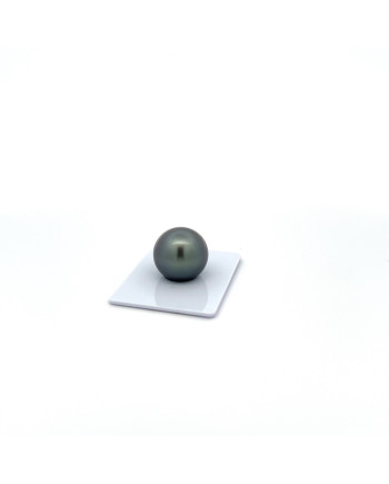 15mm+ gem  grade Tahitian Black pearl, French Polynesia  