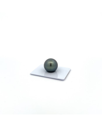 15mm+ gem  grade Tahitian Black pearl, French Polynesia  