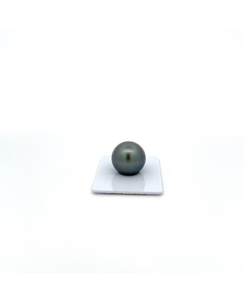 15mm+ gem  grade Tahitian Black pearl, French Polynesia  