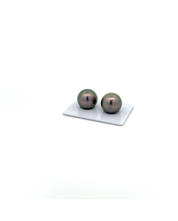12mm+ fine  grade Tahitian Black pearl, French Polynesia  