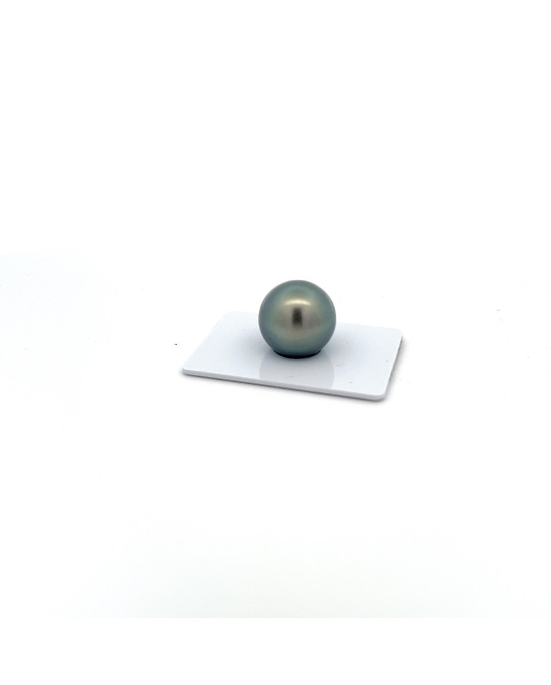 15mm+ fine  grade Tahitian Black pearl, French Polynesia  