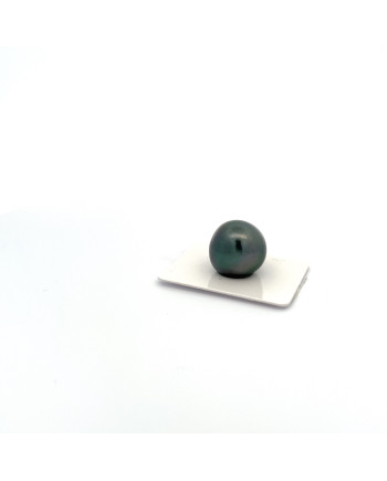 17mm+ jewel  grade Tahitian Black pearl, French Polynesia  