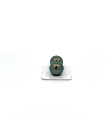 15mm+ gem  grade Tahitian Black pearl, French Polynesia  