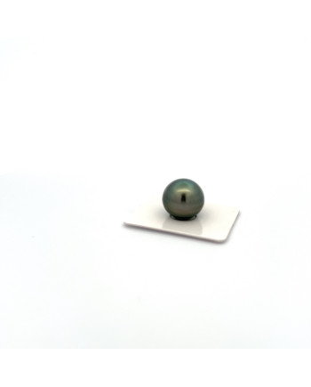 15mm+ jewel  grade Tahitian Black pearl, French Polynesia  