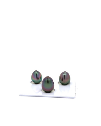 9mm+ fine  grade Tahitian Black Pearl, French Polynesia  