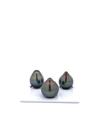 9mm+ fine  grade Tahitian Black Pearl, French Polynesia  
