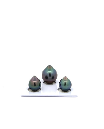9mm+ fine  grade Tahitian Black Pearl, French Polynesia  