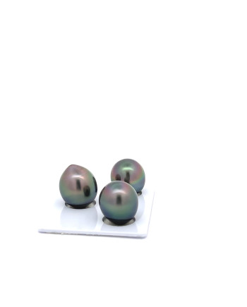 9mm+ gem  grade Tahitian Black Pearl, French Polynesia  