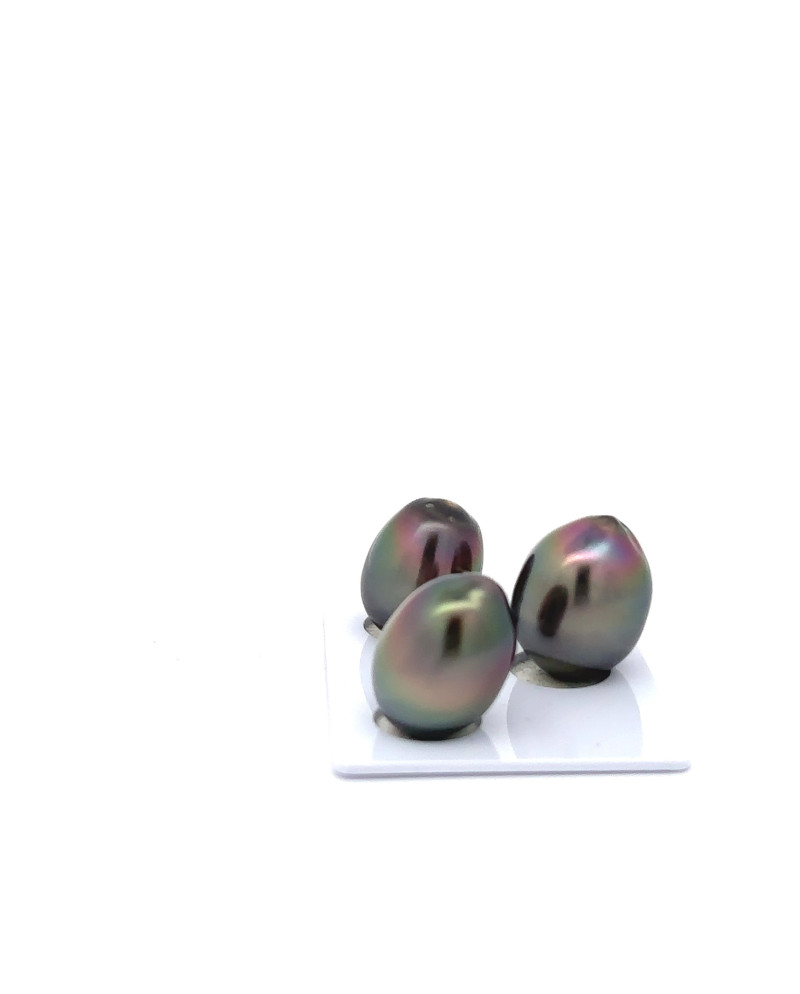 12mm+ gem  grade Tahitian Black Pearl, French Polynesia  