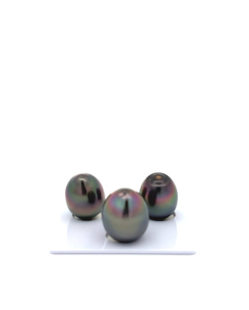 12mm+ gem  grade Tahitian Black Pearl, French Polynesia  