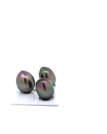 12mm+ gem  grade Tahitian Black Pearl, French Polynesia  