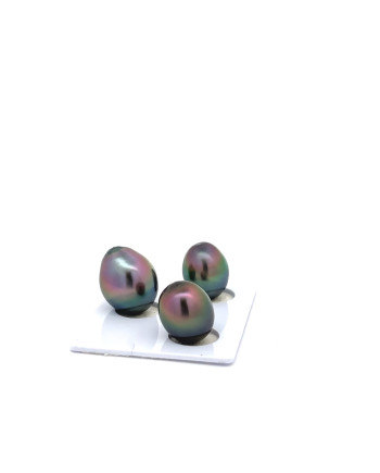 9mm+ gem  grade Tahitian Black Pearl, French Polynesia  