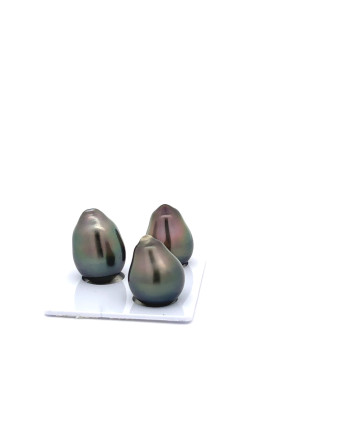 12mm+ gem  grade Tahitian Black Pearl, French Polynesia  