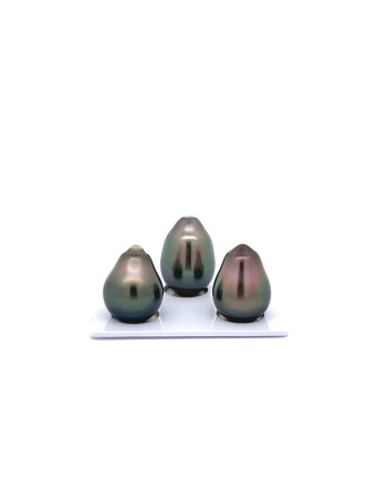 12mm+ gem  grade Tahitian Black Pearl, French Polynesia  