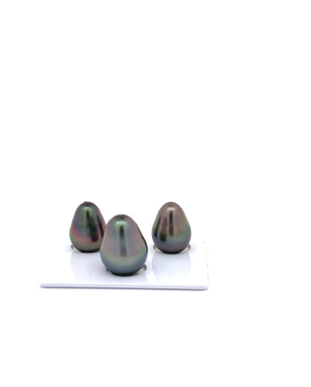 9mm+ fine  grade Tahitian Black Pearl, French Polynesia  