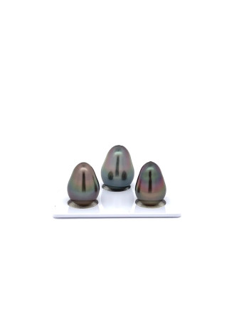 9mm+ fine  grade Tahitian Black Pearl, French Polynesia  