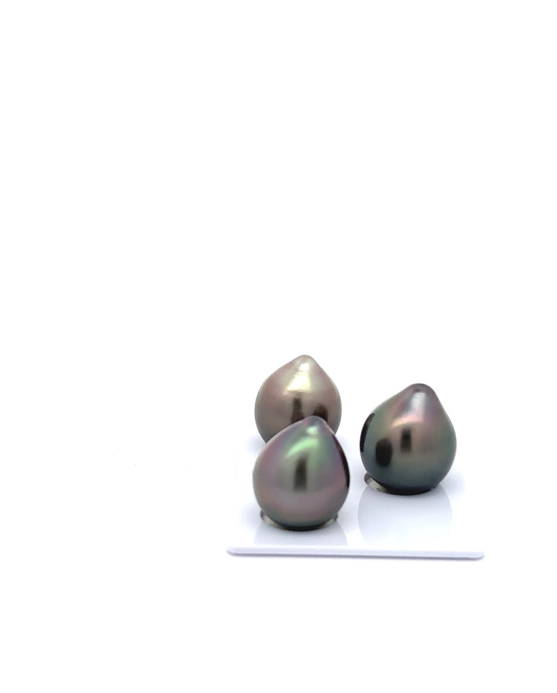 12mm+ gem  grade Tahitian Black Pearl, French Polynesia  