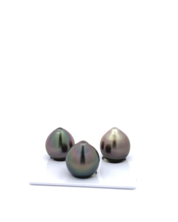 12mm+ gem  grade Tahitian Black Pearl, French Polynesia  