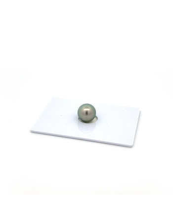 9mm+ gem  grade Tahitian Black Pearl, French Polynesia  