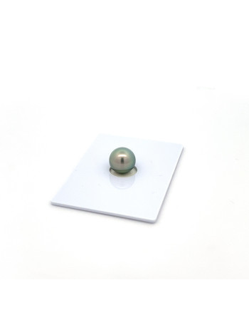 9mm+ gem  grade Tahitian Black Pearl, French Polynesia  