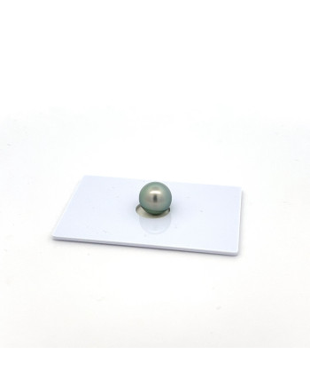 9mm+ gem  grade Tahitian Black Pearl, French Polynesia  