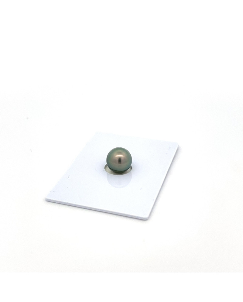 9mm+ gem  grade Tahitian Black Pearl, French Polynesia  