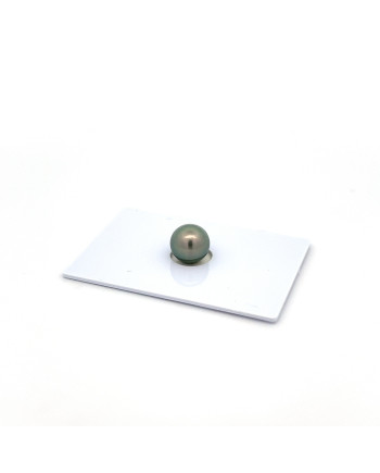 9mm+ gem  grade Tahitian Black Pearl, French Polynesia  
