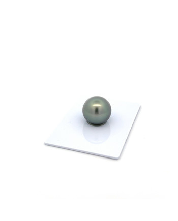 12mm+ gem  grade Tahitian Black Pearl, French Polynesia  