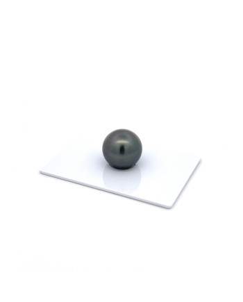 12mm+ gem  grade Tahitian Black Pearl, French Polynesia  