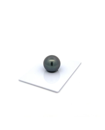 12mm+ gem  grade Tahitian Black Pearl, French Polynesia  