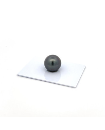 12mm+ gem  grade Tahitian Black Pearl, French Polynesia  