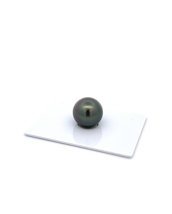 12mm+ gem  grade Tahitian Black Pearl, French Polynesia  