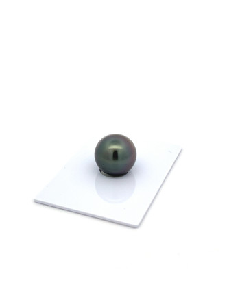 12mm+ gem  grade Tahitian Black Pearl, French Polynesia  