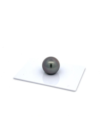 12mm+ gem  grade Tahitian Black Pearl, French Polynesia  