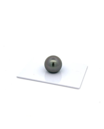 12mm+ fine  grade Tahitian Black Pearl, French Polynesia  