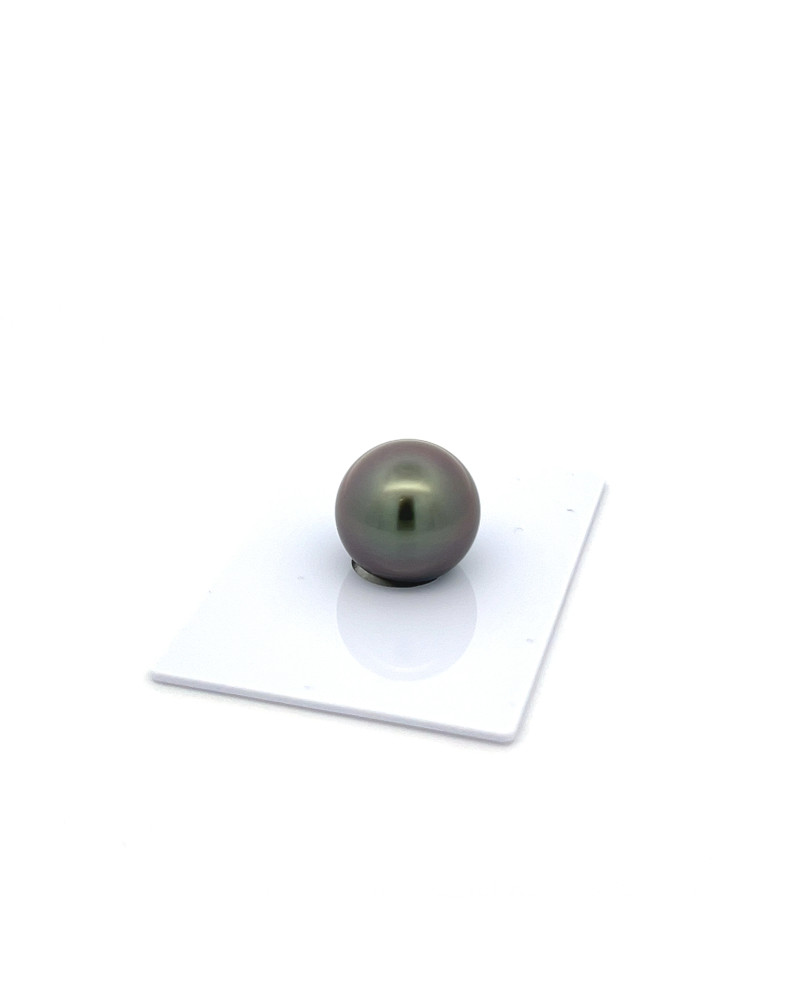 12mm+ fine  grade Tahitian Black Pearl, French Polynesia  