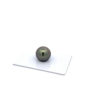 12mm+ fine  grade Tahitian Black Pearl, French Polynesia  
