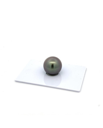 12mm+ fine  grade Tahitian Black Pearl, French Polynesia  