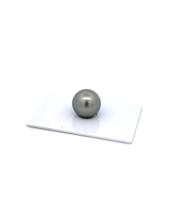 12mm+ fine  grade Tahitian Black Pearl, French Polynesia  