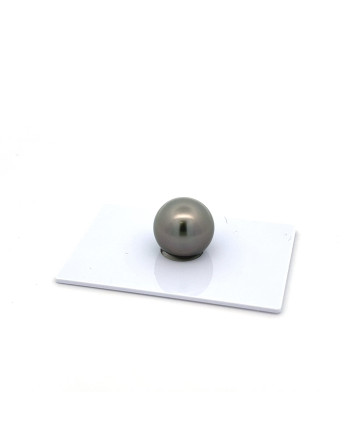 12mm+ fine  grade Tahitian Black Pearl, French Polynesia  