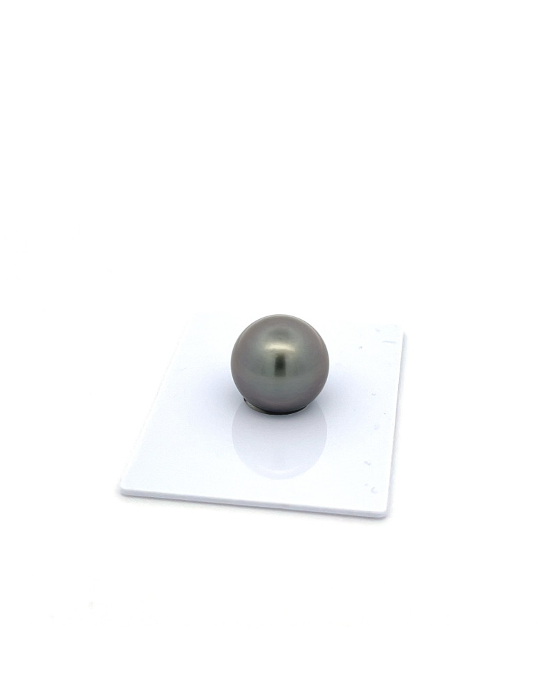 12mm+ fine  grade Tahitian Black Pearl, French Polynesia  
