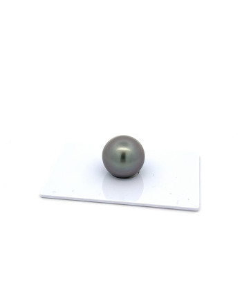12mm+ fine  grade Tahitian Black Pearl, French Polynesia  