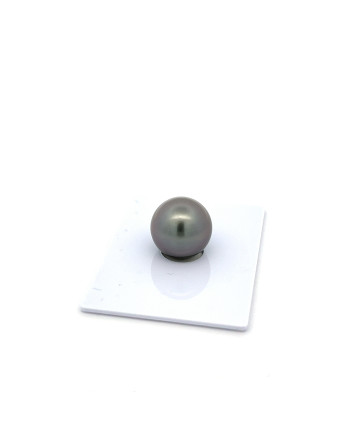 12mm+ fine  grade Tahitian Black Pearl, French Polynesia  