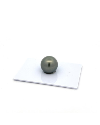 12mm+ fine  grade Tahitian Black Pearl, French Polynesia  