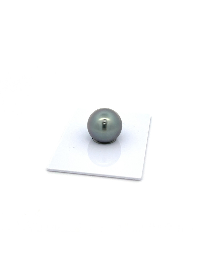 12mm+ fine  grade Tahitian Black Pearl, French Polynesia  