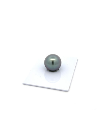 12mm+ fine  grade Tahitian Black Pearl, French Polynesia  