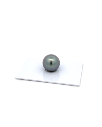 12mm+ fine  grade Tahitian Black Pearl, French Polynesia  