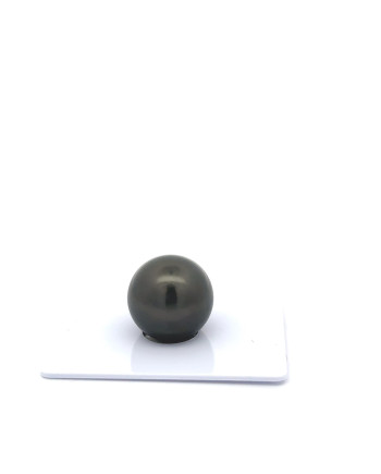 15mm+ fine  grade Tahitian Black Pearl, French Polynesia
