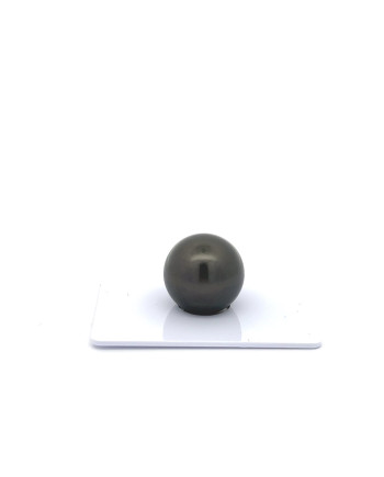 15mm+ fine  grade Tahitian Black Pearl, French Polynesia